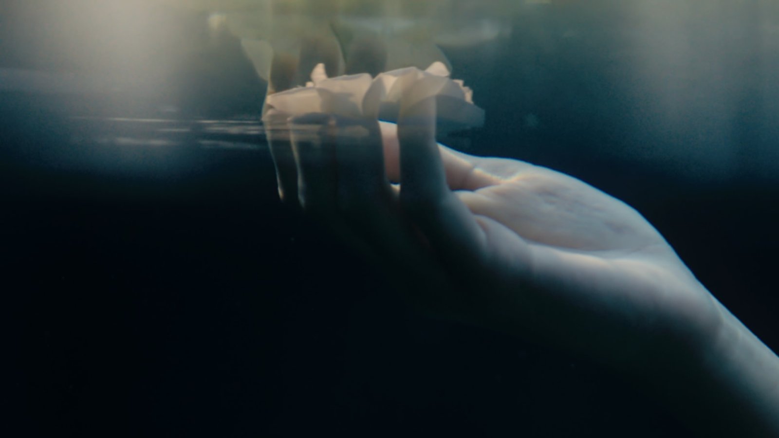 Ye Ku - sensitive (official videoclip)